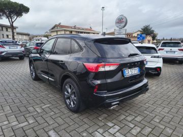 FORD - Kuga 2.0 EcoBlue 120 CV aut. 2WD ST-Line (5 di 22)