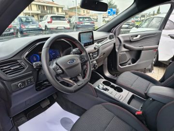 FORD - Kuga 2.0 EcoBlue 120 CV aut. 2WD ST-Line (7 di 22)