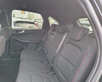 FORD - Kuga 2.0 EcoBlue 120 CV aut. 2WD ST-Line (18 di 22)