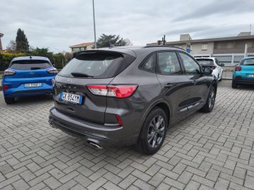 FORD - Kuga 1.5 EcoBlue 120 CV aut. 2WD ST-Line (4 di 22)