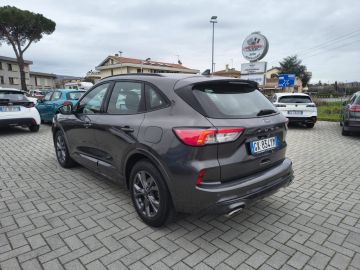 FORD - Kuga 1.5 EcoBlue 120 CV aut. 2WD ST-Line (5 di 22)
