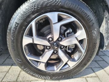 KIA - Sportage 1.6 CRDI 136 CV DCT7 2WD Mild Hybrid Business Class (7 di 21)