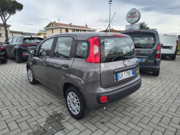 FIAT - Panda 1.0 FireFly S&S Hybrid (5 di 15)