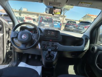 FIAT - Panda 1.0 FireFly S&S Hybrid (13 di 15)