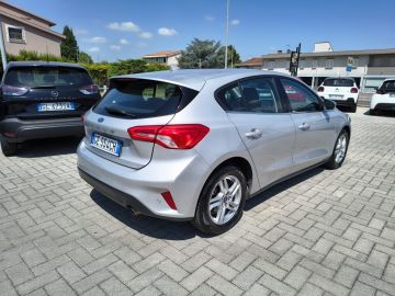 FORD - Focus 1.5 EcoBlue 120 CV 5p. Business (4 di 21)