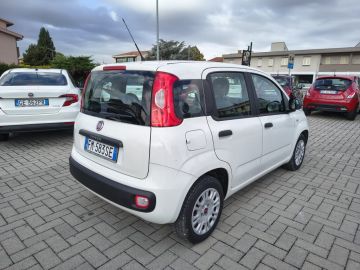 FIAT - Panda 1.2 Easy (4 di 19)