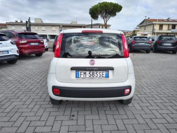 FIAT - Panda 1.2 Easy (5 di 19)