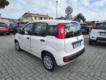 FIAT - Panda 1.2 Easy (6 di 19)
