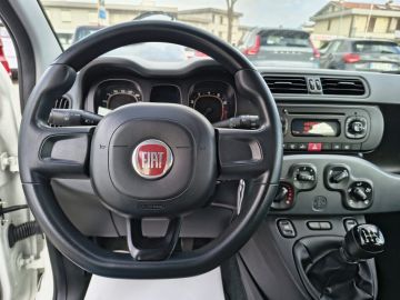 FIAT - Panda 1.2 Easy (8 di 19)