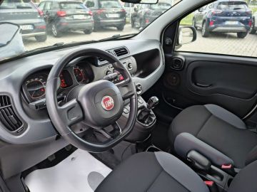 FIAT - Panda 1.2 Easy (9 di 19)