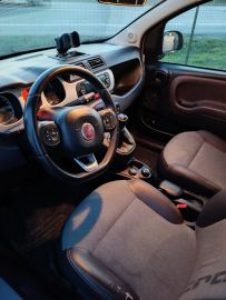 FIAT - Panda Cross 0.9 TwinAir Turbo S&S 4x4 (3 di 3)