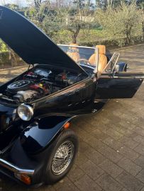 PANTHER - Kallista 1.6 (3 di 4)