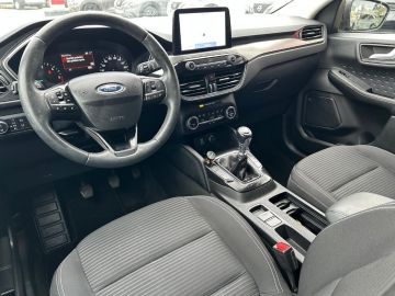 FORD - Kuga 2.0 EcoBlue Hybrid 150 CV 2WD Titanium (8 di 18)