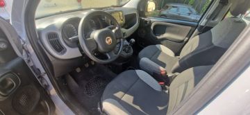 FIAT - Panda 1.0 FireFly S&S Hybrid City Life (4 di 5)