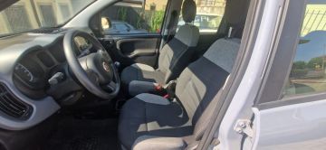 FIAT - Panda 1.0 FireFly S&S Hybrid City Life (5 di 5)
